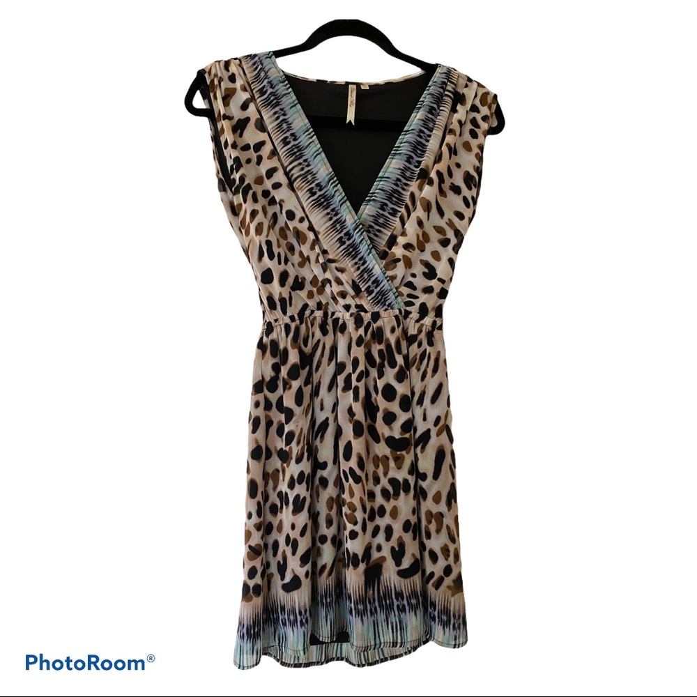 Petticoat Alley Dress
